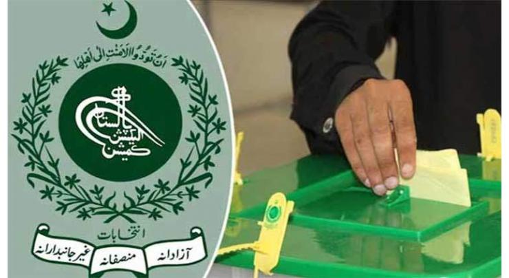 Election 2024 fever grips KP as advertisement business shines
