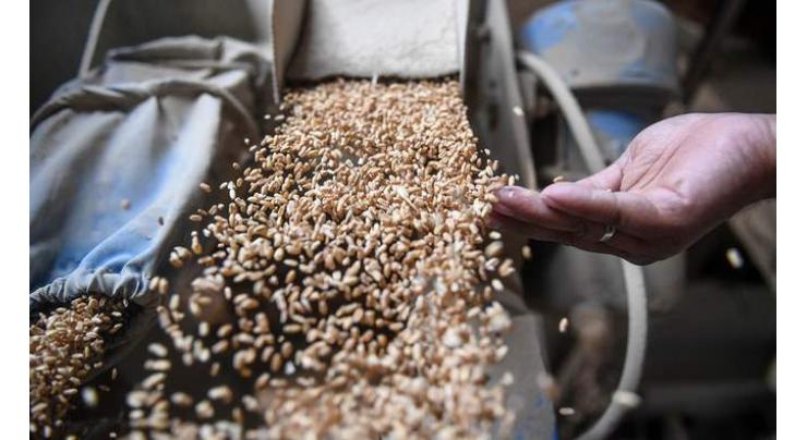 Wheat quota enhanced for Gilgit-Baltistan