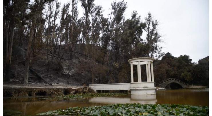 Chile's biggest botanical garden like 'smoker's lung' after wildfire