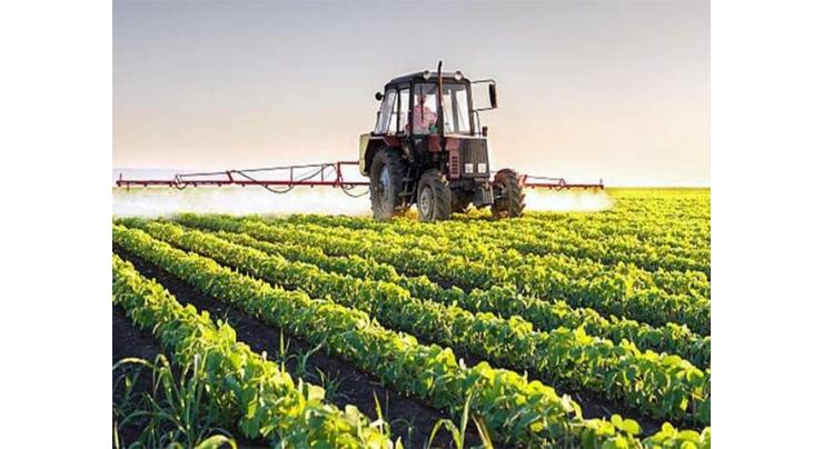Caretaker Punjab govt prepares 10-year agriculture plan for uplift of agri sector
