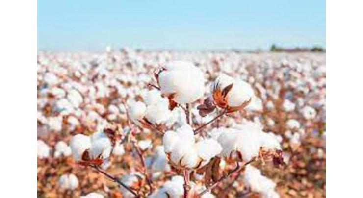 Agriculture officials attend one-day training on IPM technology for cotton