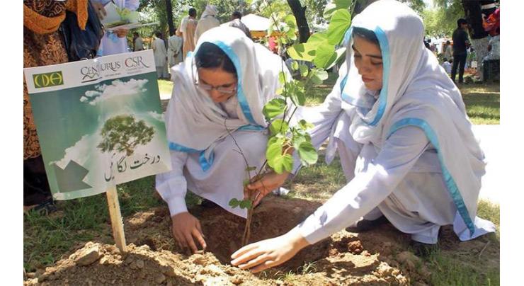 PDA launches tree plantation campaign in Hayatabad, RMT