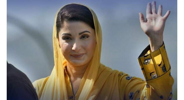 Collective efforts vital to steer country out of crisis: Maryam Nawaz
