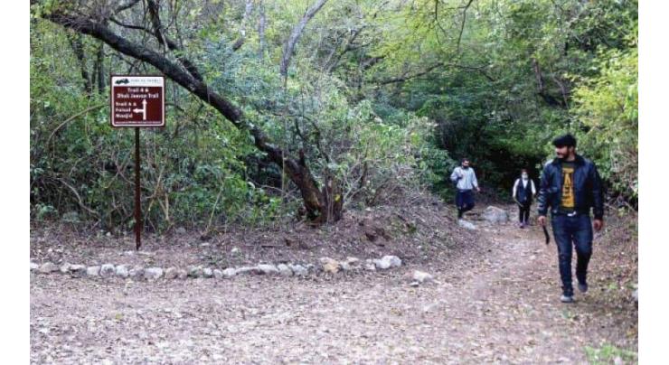 CDA plans Rs 2 bln project to reforest Margalla Hills