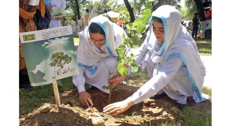 RCCI urges youth to lead “Plant for Pakistan “drive