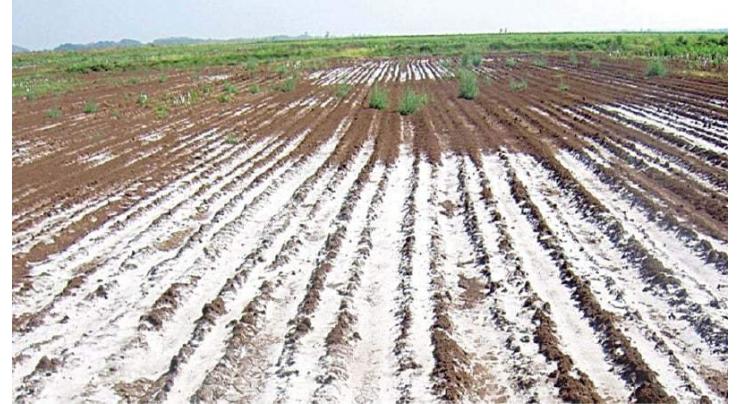 More than 6 million acres of land in country affected by salinity: Experts