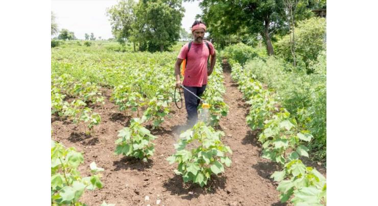 IPM survey proves biocontrol technology profitable for cotton farmers