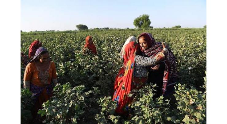 Implementation  of Sindh Agriculture Workers Act-2019 demanded