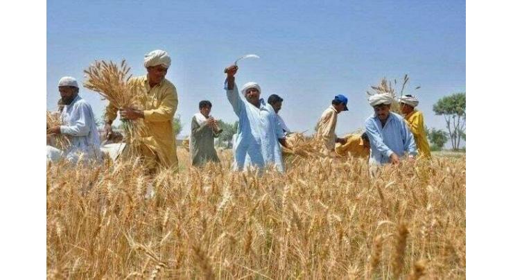 Provision of quality agri inputs to farmers being ensured: Syed Ashiq Kirmani