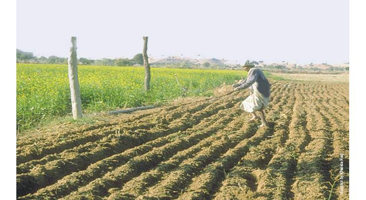 SIDA advises cotton, rice farmers to start late sowing due to water shortage