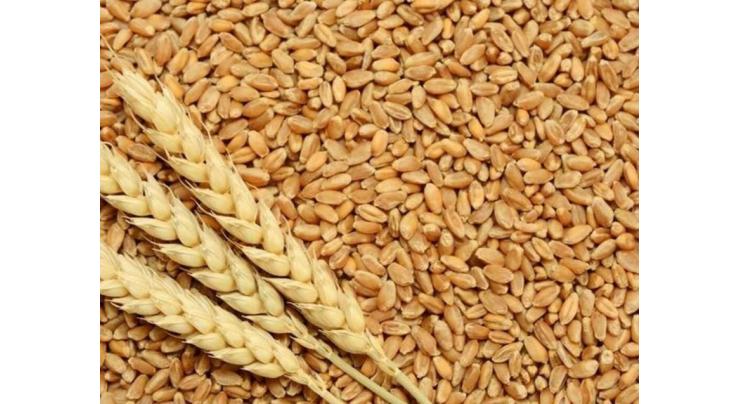 Cabinet directs NFS&R Ministry to take steps for meeting wheat procurement target