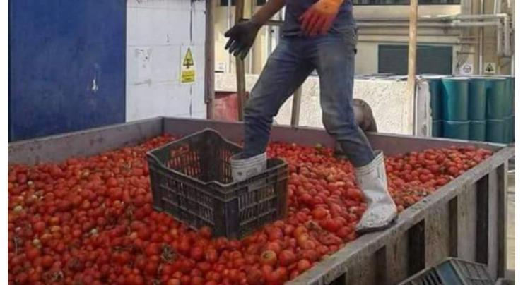 Harmful ketchup producing factory seized