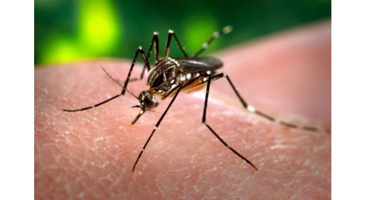 Meeting reviews anti-dengue measures