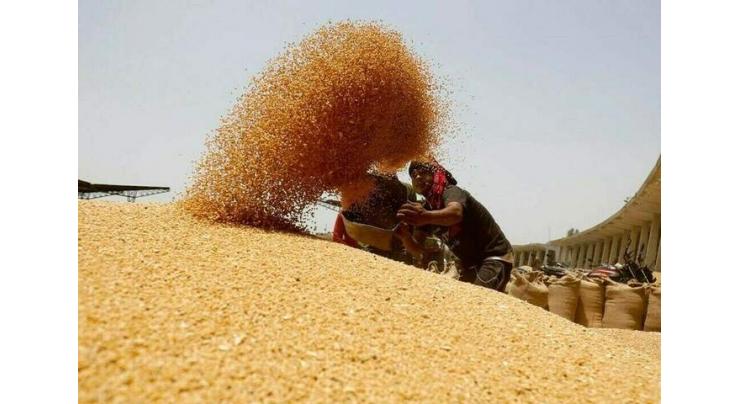 CM directs to prepare wheat purchase plan for next season