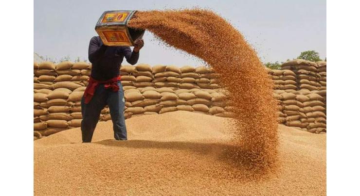 Wheat procurement drive in Sargodha from April 22