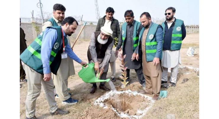 Tree Plantation Ceremony organized at Commissioner Office to observe ‘World Earth Day’