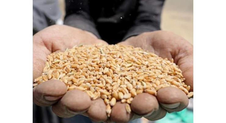 KP cabinet takes decisions related to wheat procurement, health, education, power