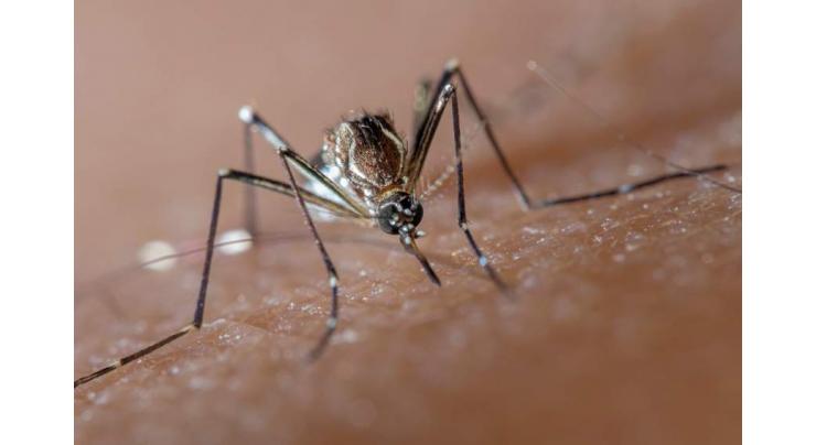 Secretary health urges public to follow precautionary measures to avoid spreading dengue