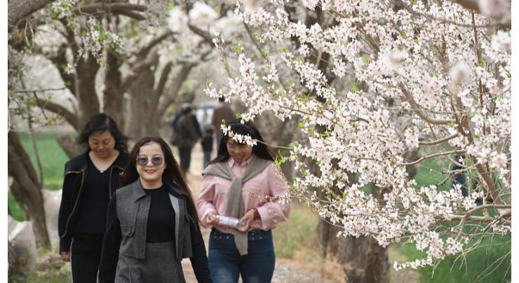 Xinjiang tourism revenue up nearly 34 pct during May Day holiday
