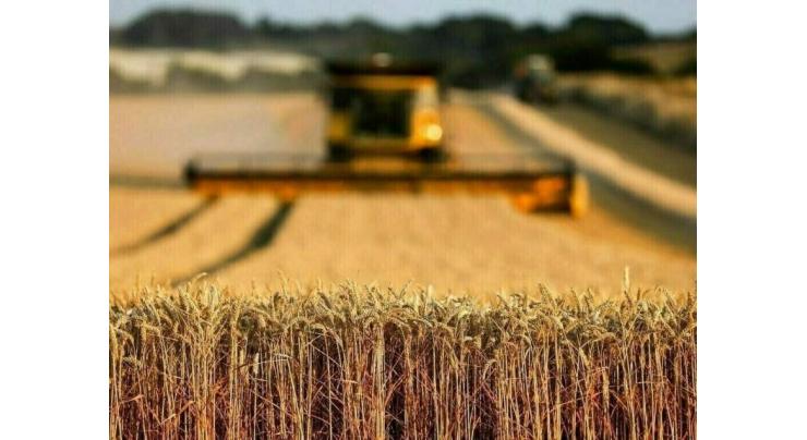 Transforming Punjab Agriculture Plan to be game changer for farmers: Minister