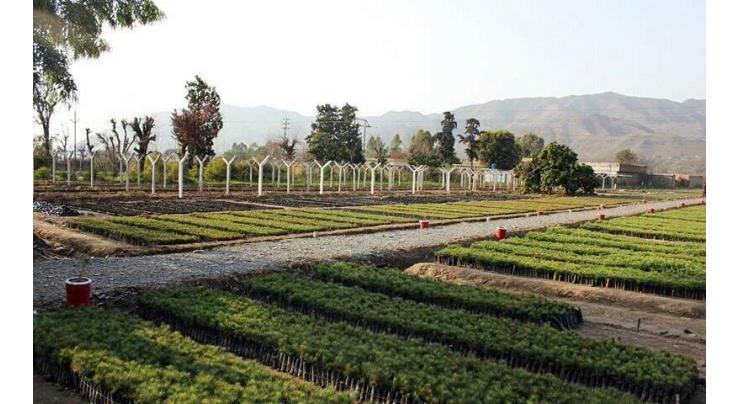 KfW mission meets KP officials discussed Billion Trees Project