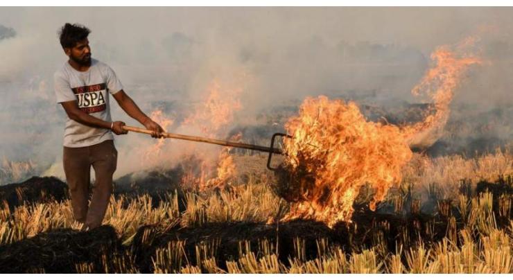 Govt cracks down on crop residue burning