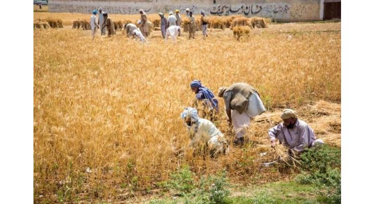 Farmers problems to be solved on priority: Commissionar Larkana