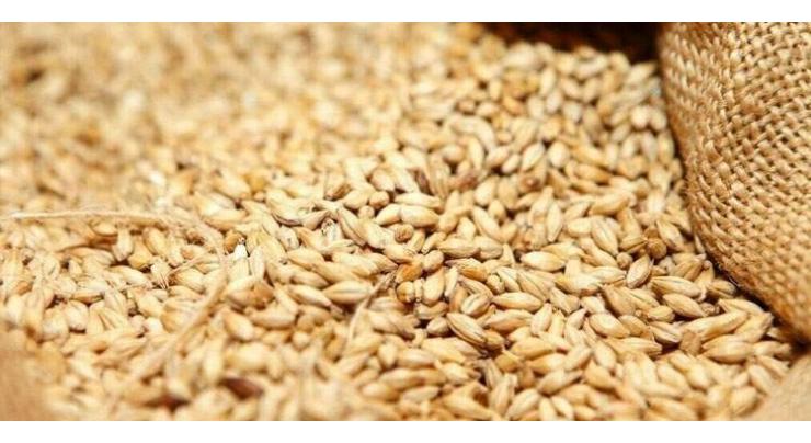 KP govt begins wheat procurement from Punjab farmers