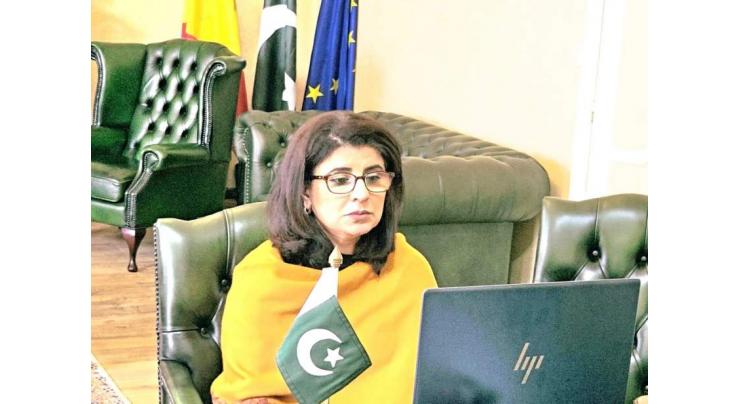 Ambassador Amna hosts virtual Katchehri for Pakistani community