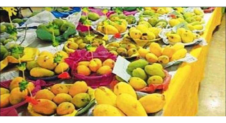 Mango Festival security beefed up in Mirpurkhas