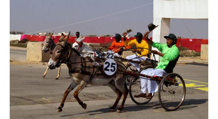 Commissioner Karachi Cup Donkey cart race to be held on Sunday
