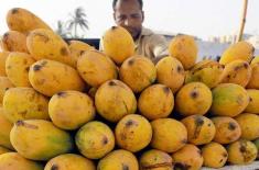 Matiari gears up for vibrant Mango and Handicrafts ..