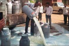 PFA discards thousands of contaminated kulfis