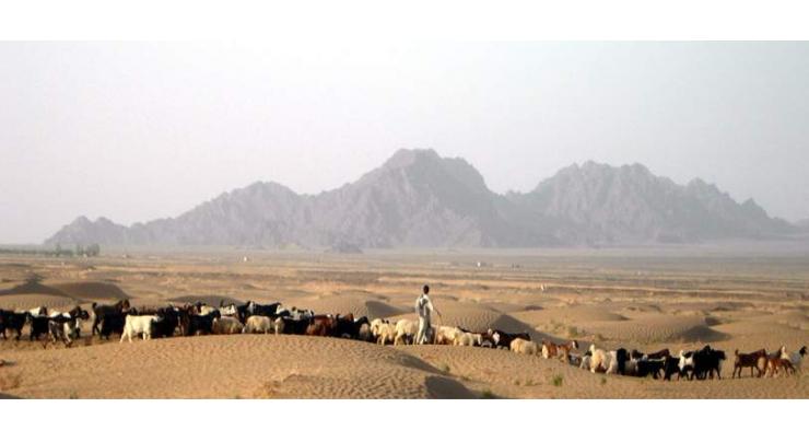 Digitization of land records begins with pilot project in Haripur