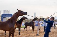 Thrilling finale for Emirates Arabian Horse Global ..