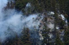 Canada's wildfires burn more than 5.5 million hect ..
