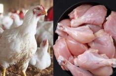 Sindh takes notice as chicken prices go up in Kara ..