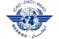 UAE’s ‘Global Sustainable Aviation Marketplace ..