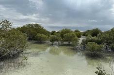 UAE marks International Day for Conservation of Ma ..