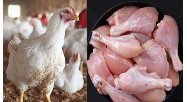Sindh takes notice as chicken prices go up in Karachi
