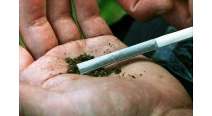 Senate urges swift action against rising drug use in educational institutions