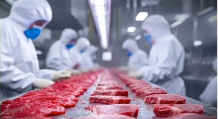 Pakistan’s boiled beef exports to China soar 139% in H1 2025