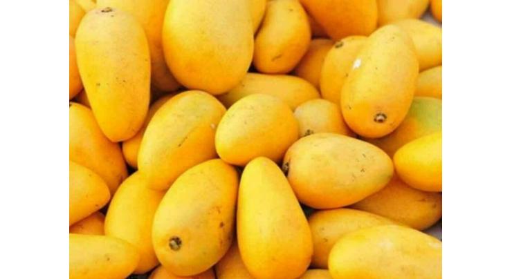 Dist admin to host first mango festival in celebrations of Independence Day