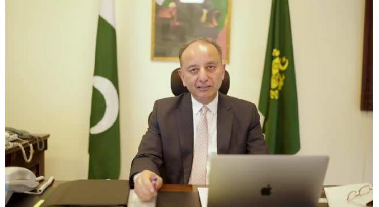 India isolated globally: Federal Minister for Climate Change and Environmental Coordination, Senator Musadik Masood Malik