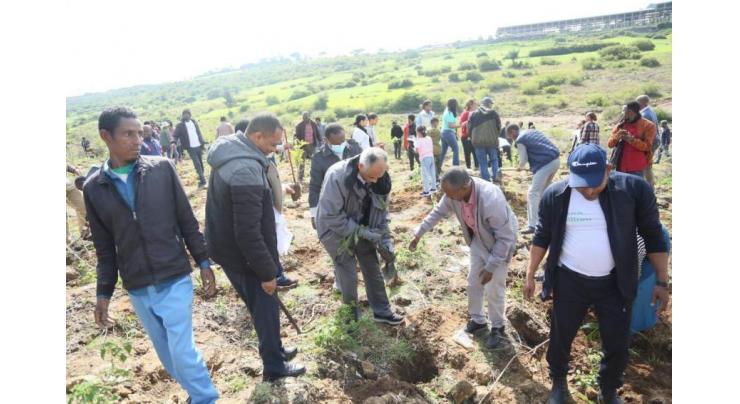 Pakistan joins Ethiopia in historic tree planting initiative
