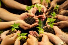 Two week long tree plantation campaign starts at Q ..
