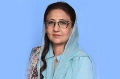 Govt. focused on development, PTI spreading hate: ..