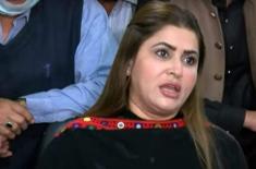 NA adopts resolutions on Palestinian support, digi ..