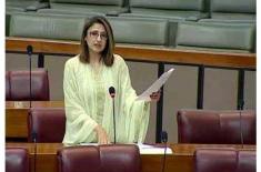 PTI always chooses chaos over dialogue: Minister o ..