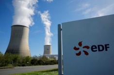 Jellyfish swarm shuts down French nuclear plant